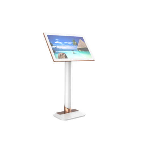 Capacitive touch screen DC-19