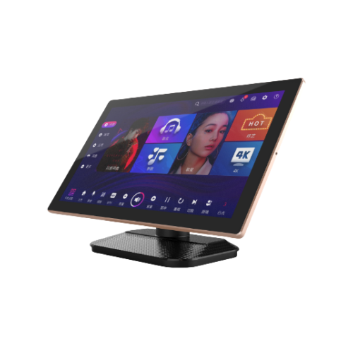 Capacitive touch screen DC-21.5