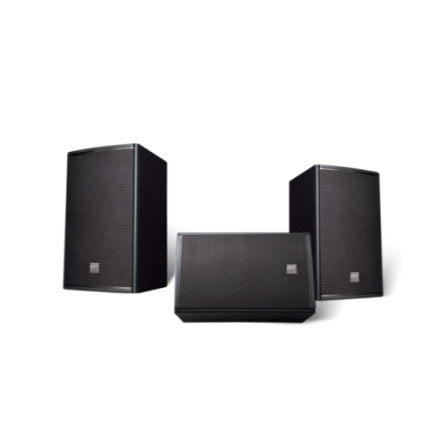 Professional 10 inch full range audio sy