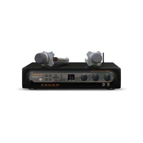 Two channel 350W digital combined amplif