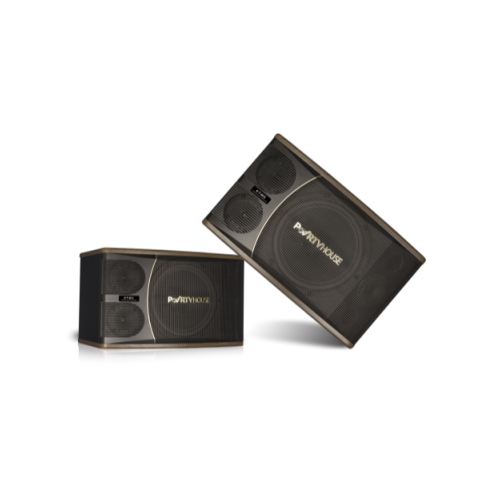 Professional 10 inch card pack full rang